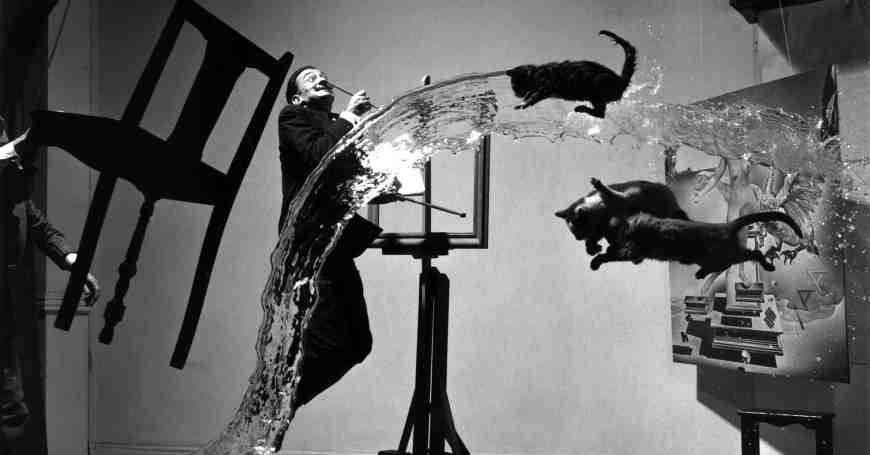 Salvador Dali i mačke - kreativan proces